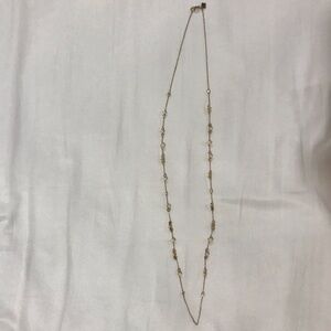 Long Banana Republic Necklace